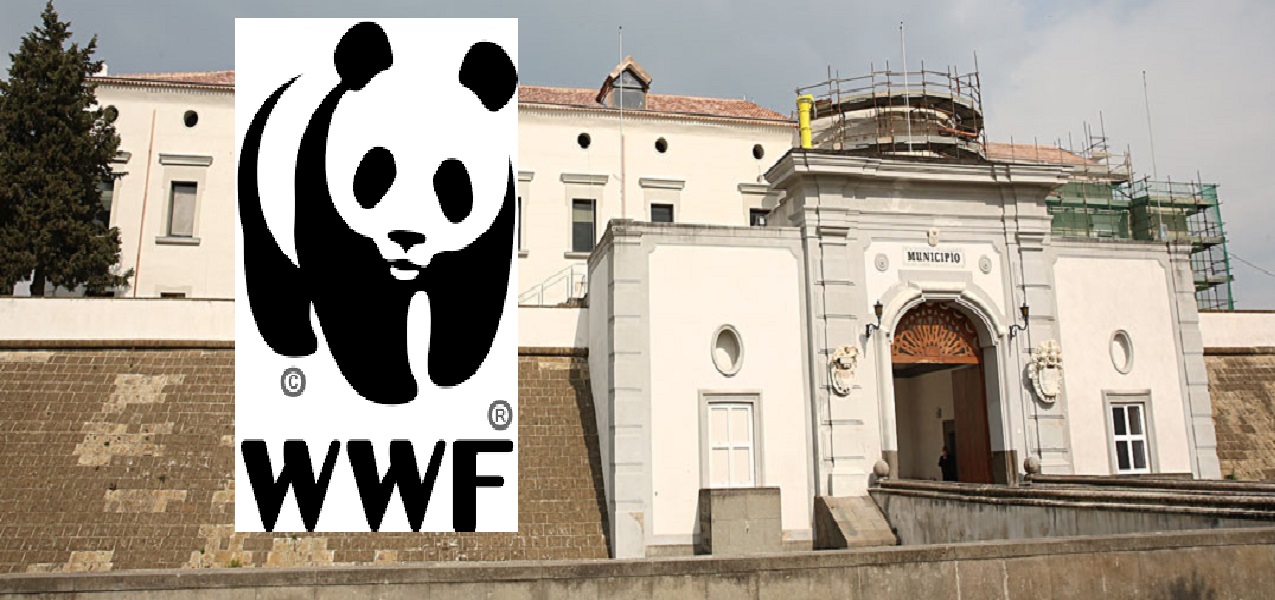 wwf scrive comune acerra