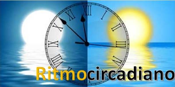 ritmo circadiano