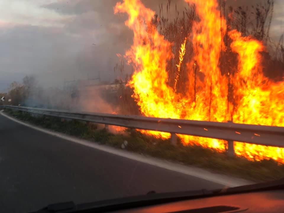 acerra rogo tossico lettieri - attacco alla città