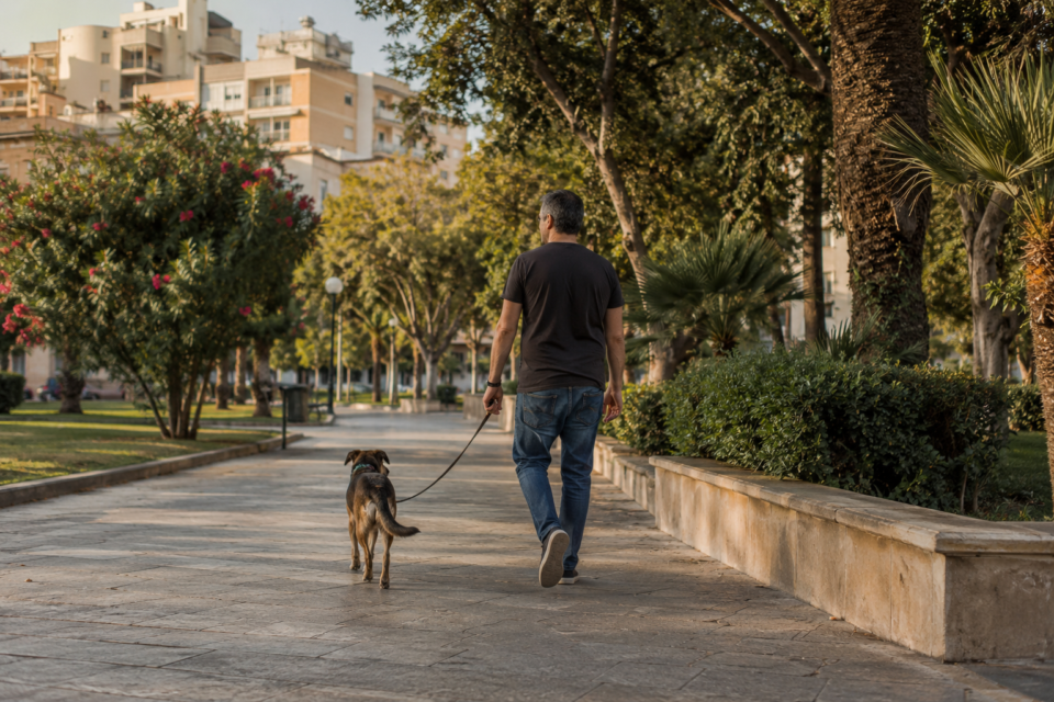 Persona a passeggio con il cane in un parco urbano